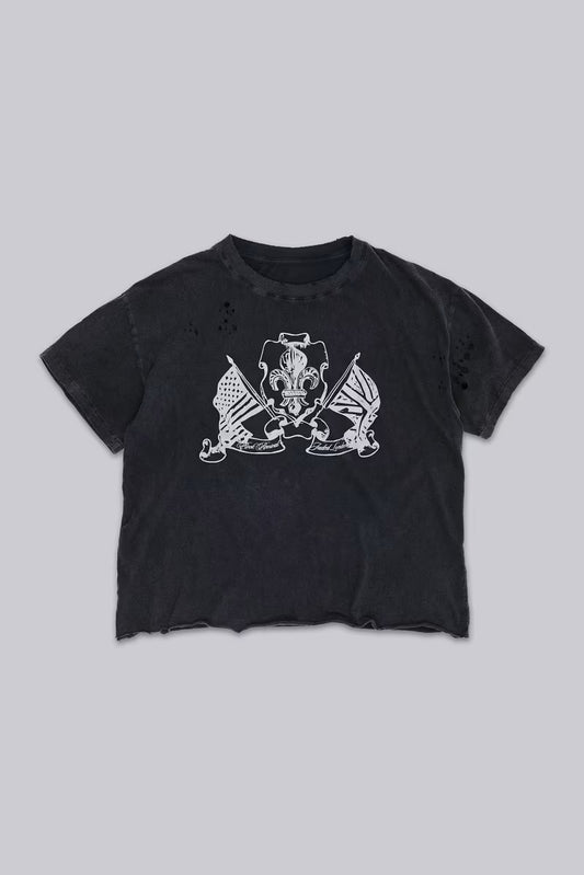 Jaded London Rock Revival Distressed National Cropped T-Shirt